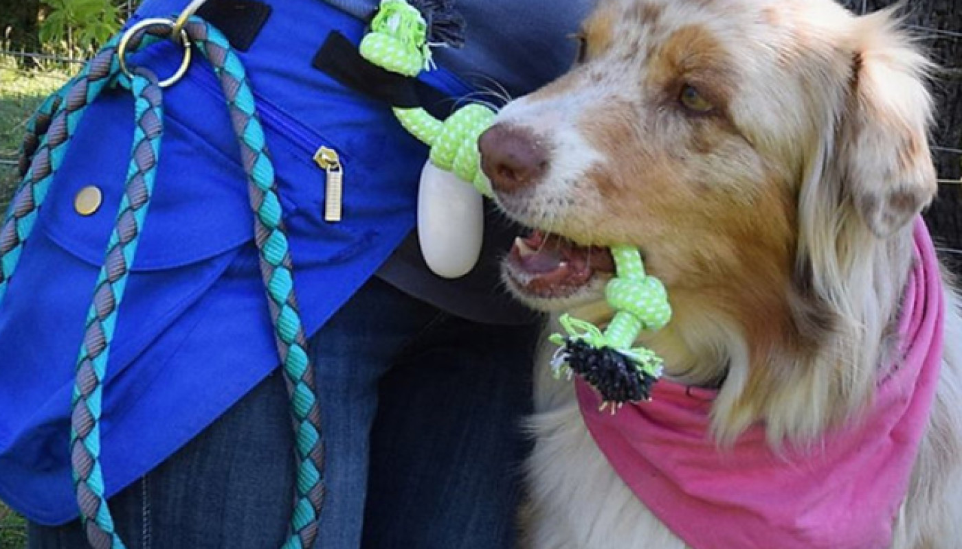 Pour vos sessions d’éducation canine, utilisez le sac ceinture Laboa !